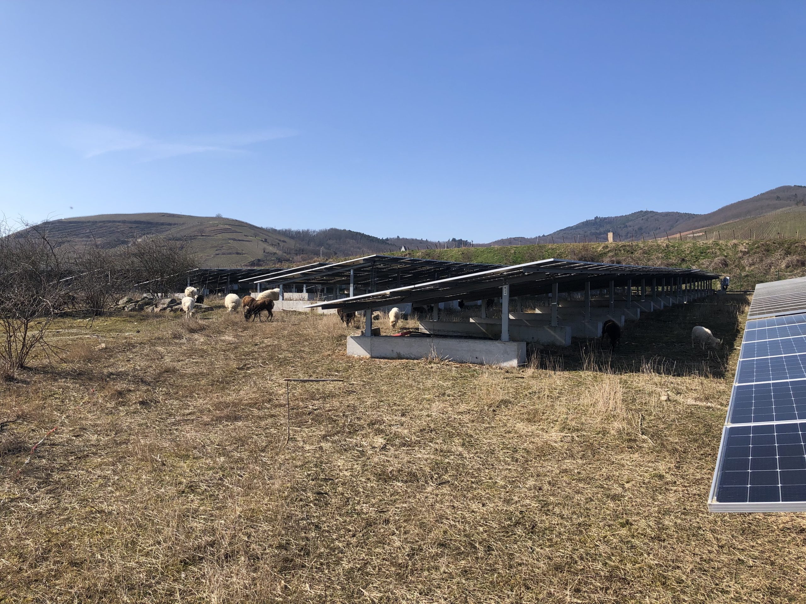 Centrale solaire sur une ancienne décharge dans le Haut-Rhin