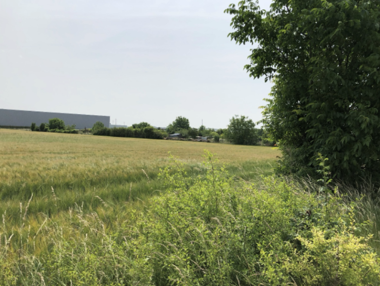 Centrale agrivoltaïque en zone urbaine dans la Marne