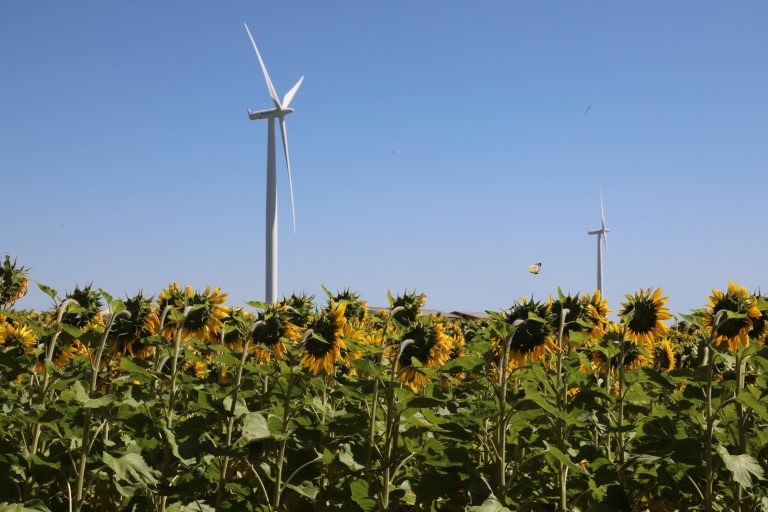 Projet éolien en Moselle